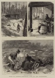 Goud in Canada, Emigrant Leven in de Wildernis